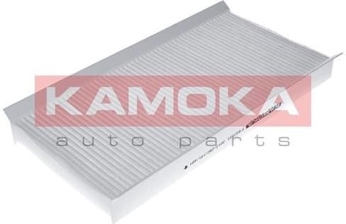 Filter, cabin air F402501