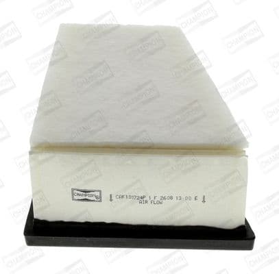 Air Filter CAF100724P