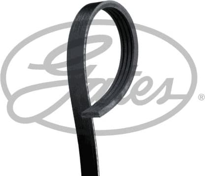 V-ribbed Belt Micro-V® 4PK755