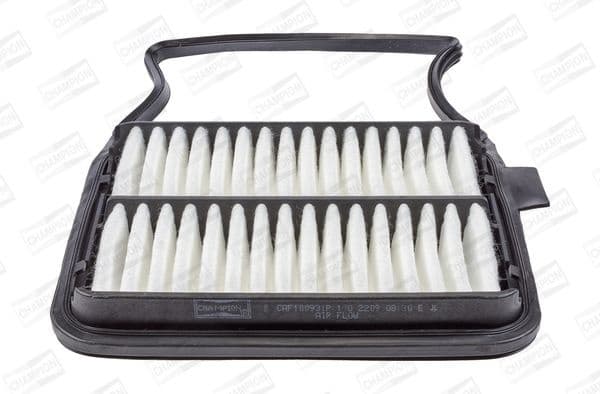 Filter air CAF100931P