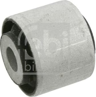 Mounting, control/trailing arm 22670