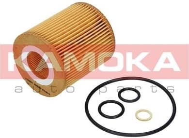 Oil Filter F109501