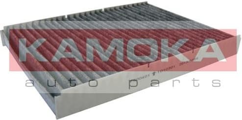 Filter, cabin air F500401