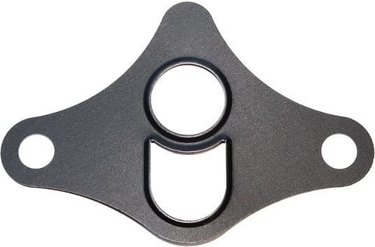 Gasket, EGR valve 449.831