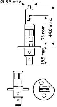 Bulb VisionPlus 12258VP B1 - image 3