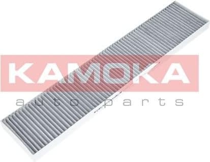 Filter, cabin air F501101 - image 2