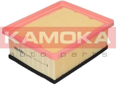 Air Filter F210201