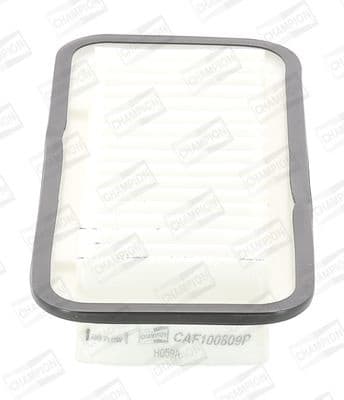 Air Filter CAF100809P