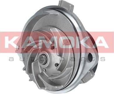Water Pump, engine cooling T0113