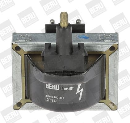 ZS 316 (BorgWarner (BERU))
