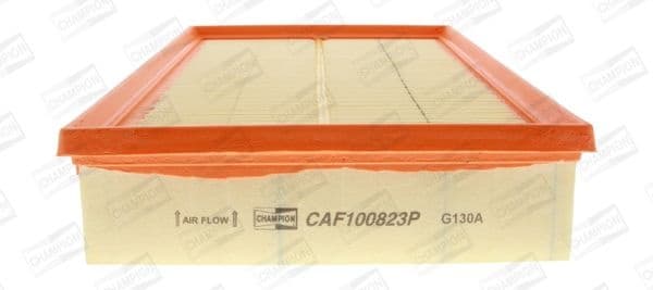 Air Filter CAF100823P