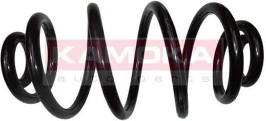 Coil spring 2120250