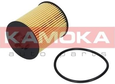 Oil Filter F105601