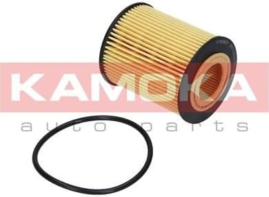 Oil Filter F105601 - image 2