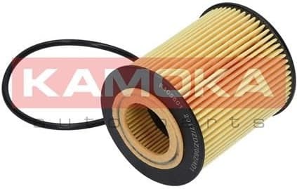 Oil Filter F105601 - image 3