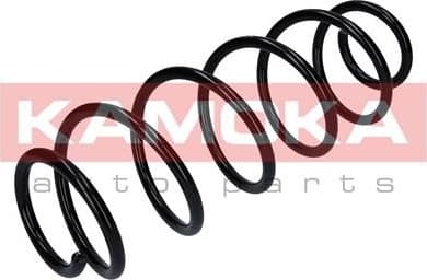 Coil spring 2120296