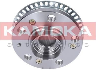 Wheel Hub 5500116