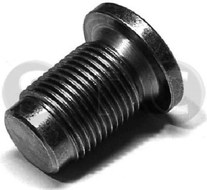 Oil drain plug T404062 - image 2