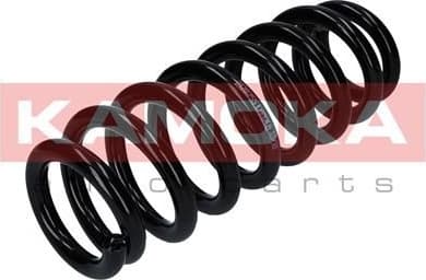 Coil spring 2120255