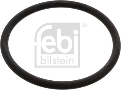 Seal, thermostat 17966