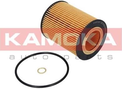 Oil Filter F107201 - image 2