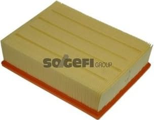 Air Filter A1119