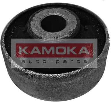 Mounting, control/trailing arm 8800035