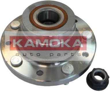 Wheel Bearing Kit 5500049