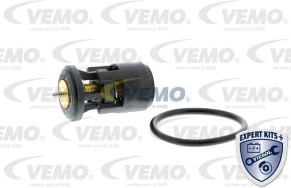 Thermostat, coolant V15-99-2019