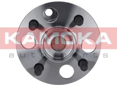 Bearing wheel 5500089