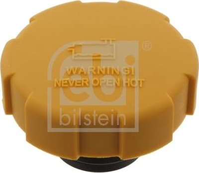 Cap, coolant tank 28490