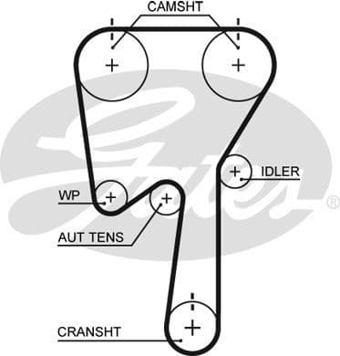 Timing Belt PowerGrip™ 5509XS