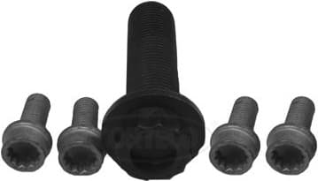 Bolt vibration damper 80001260