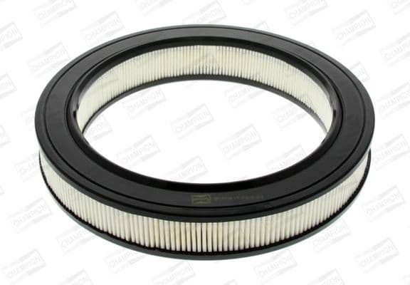 Air Filter CAF100103R