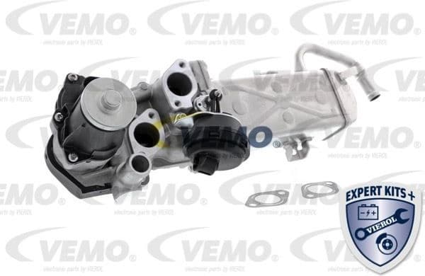 EGR Module EXPERT KITS + V10-63-0083