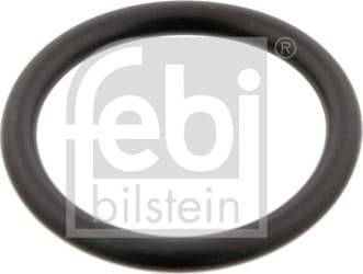 Sealing ring cooling hose 29752