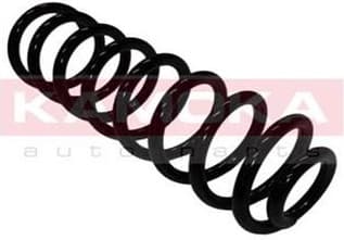 Coil spring 2110187