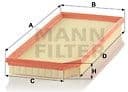 Air Filter C41110
