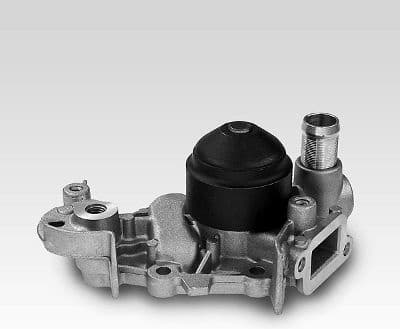 Water Pump, engine cooling P916