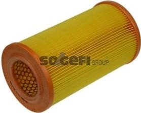 Air Filter A1009