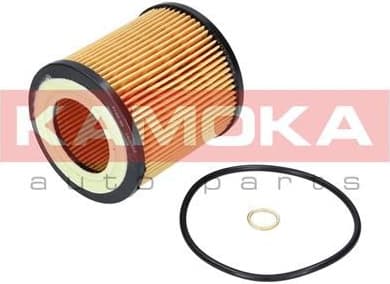 Filter oil F109701