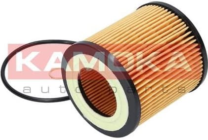 Filter oil F109701 - image 3