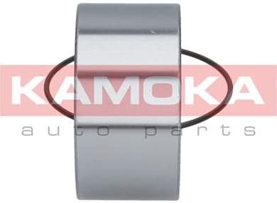 Wheel Bearing Kit 5600006 - image 4