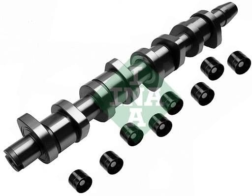 Camshaft Kit 428003930