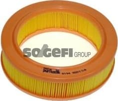 Air Filter A194