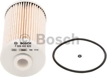Fuel Filter F026402829