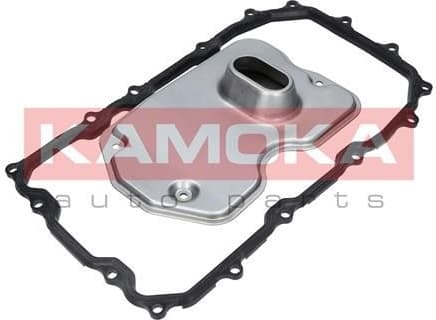 Filter automatic gearbox F600501