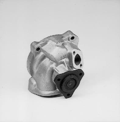 Water Pump, engine cooling P531