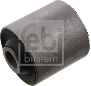 Mounting, control/trailing arm 34203