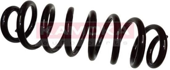 Coil spring 2120119